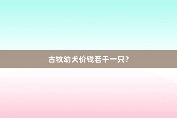 古牧幼犬价钱若干一只？